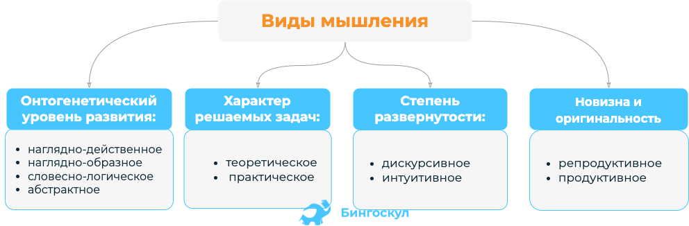 План деятельность и мышление обществознание