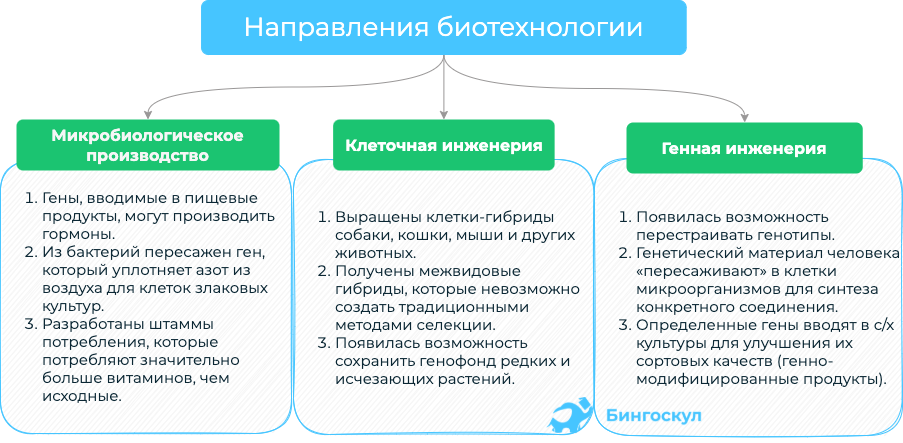 Учебный план сеченова биотехнология