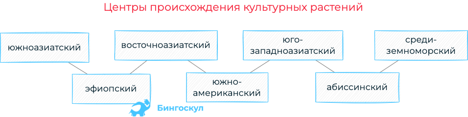 Генетические основы селекции вклад н и вавилова в развитие селекции презентация 11 класс