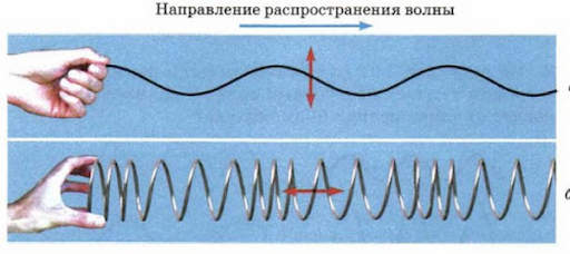 Различают пару разновидностей волн: поперечные и продольные, распространяющиеся по поверхности жидкости волны имеют обе составляющие.