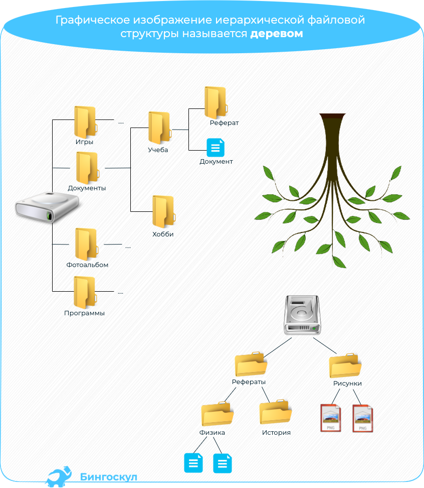 Графическое изображение иерархической структуры. Что представляет собой иерархическая файловая структура?. Что представляет собой иерархическая файловая структура дерево. Файловая структура в виде дерева. Что может располагаться в корневом каталоге.