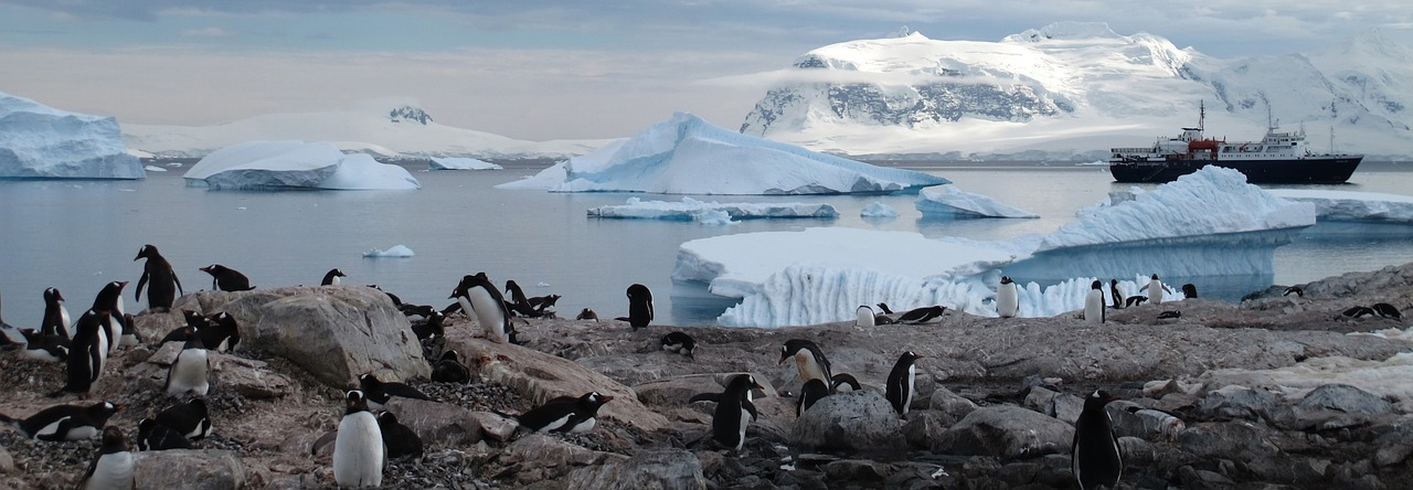 Географические объекты Антарктиды и особенности материка: кратко