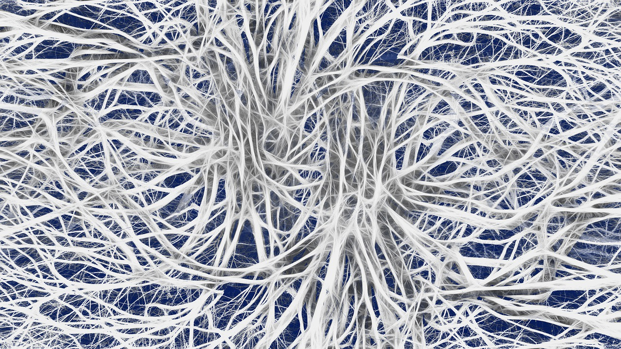 Виды нейронов по характеру отростков, трофика нервного волокна: всё о нервной клетке