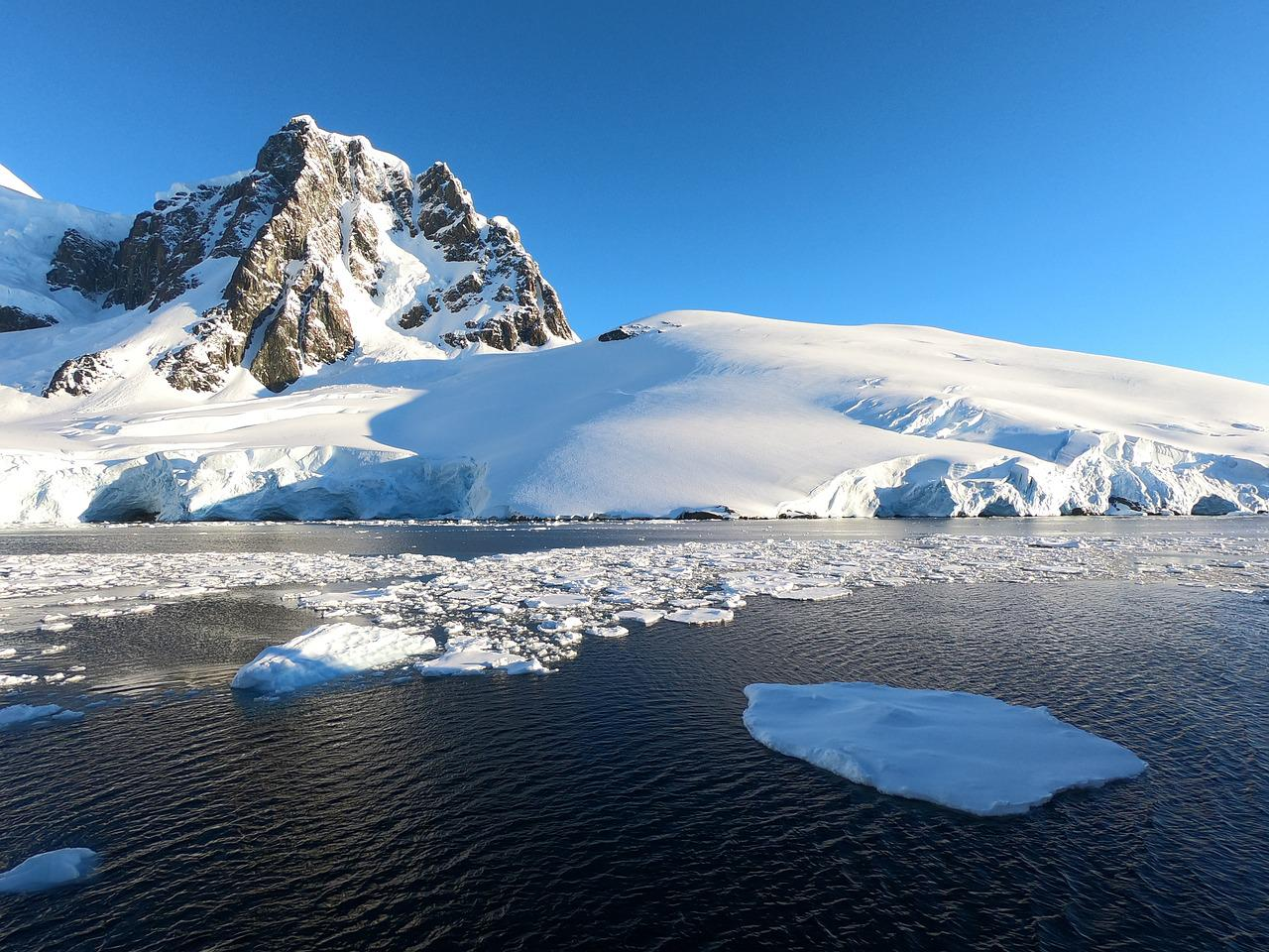 Природа Антарктиды и природные зоны: особенности, характеристика условий