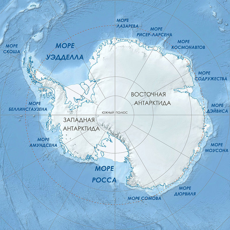 Географическое положение материка и океана Антарктиды: как разделена между странами