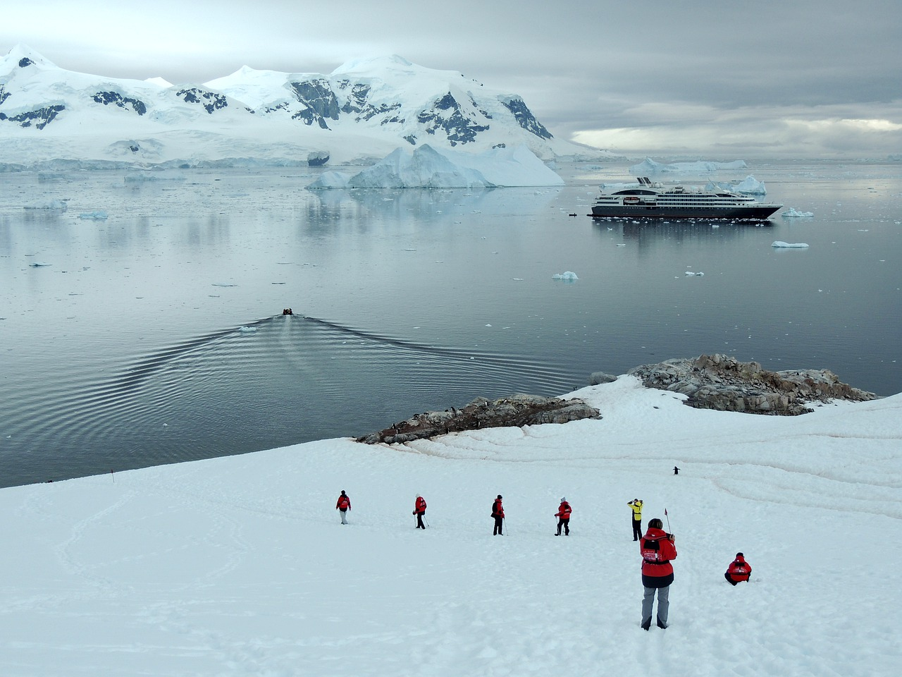 Жители Антарктиды: живут ли люди, какая численность, особенности