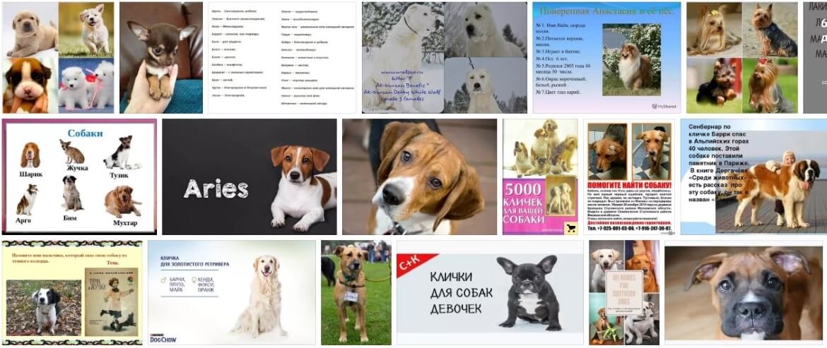 Собачьи клички и имена
