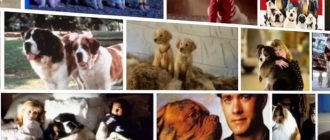 Детские фильмы с собаками