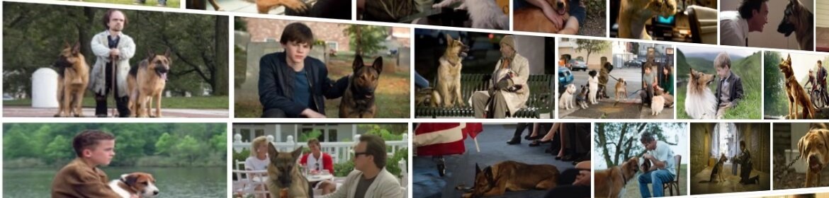 Фильмы с псами