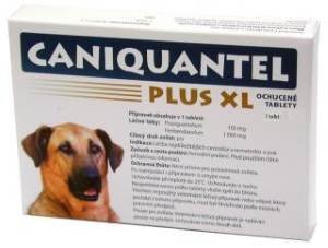 Caniquantel Plus XL