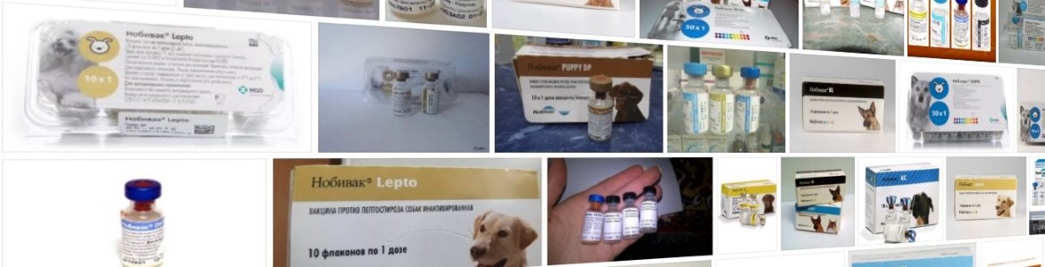 Вакцина для пса