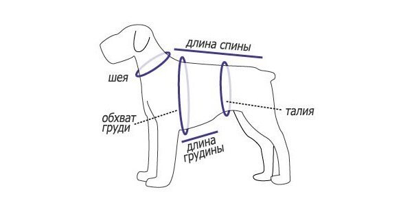 Комбинезон для собаки своими руками — выкройки, замеры, пошаговая инструкция