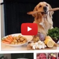 Как кормить собаку натуральной едой