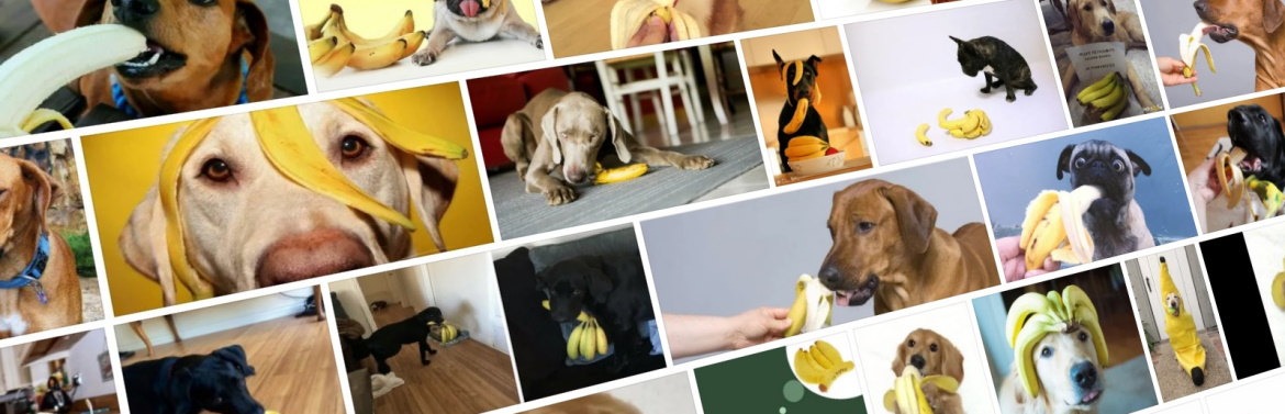 Бананы для собаки