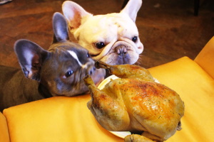 Можно ли кормить Французского бульдога курицей