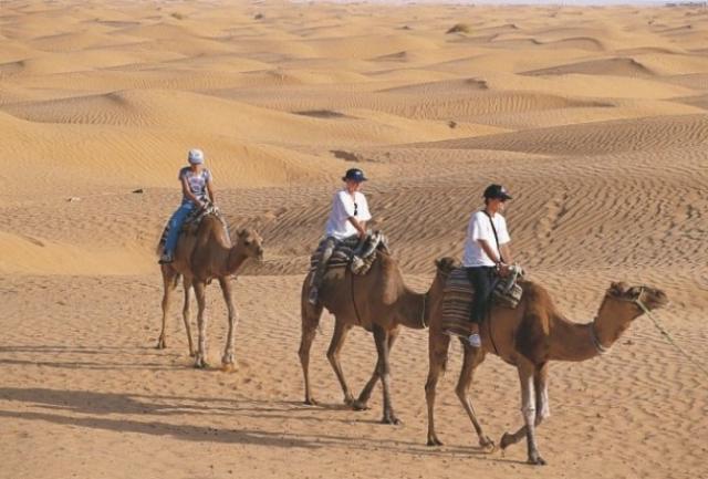 Туристы в пустыне