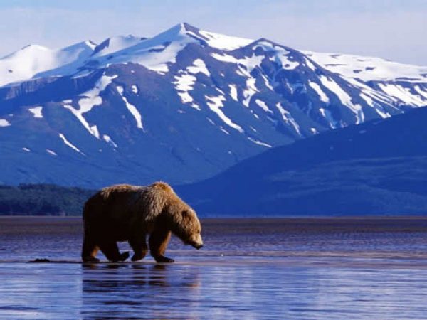Страна Полуночного солнца: Аляска