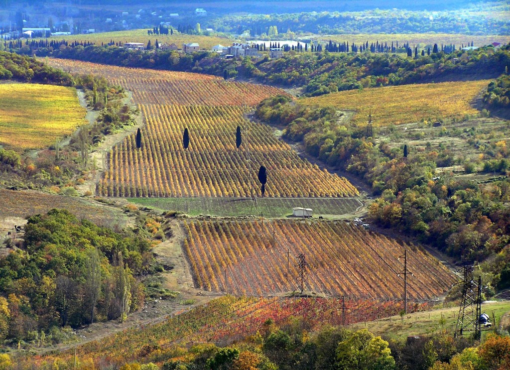 Виноградники в долине реки Демерджи