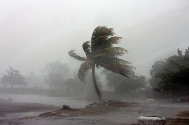 Сильный ветер на Доминикане во время дождя