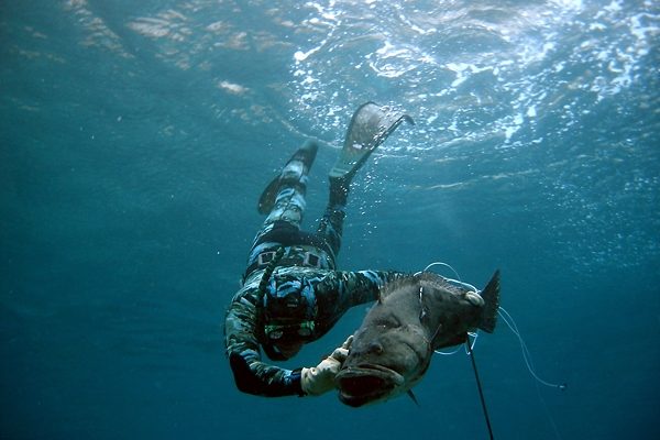 Подводная охота в Австралии