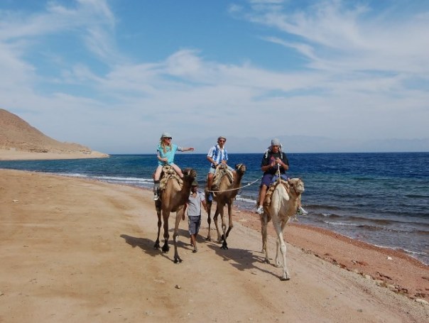 Катание на верблюдах вдоль пляжа
