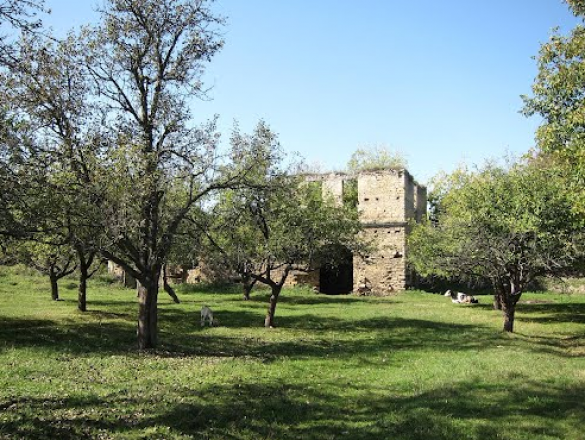 Руины замка в Чернелица, Ивано-Франковск