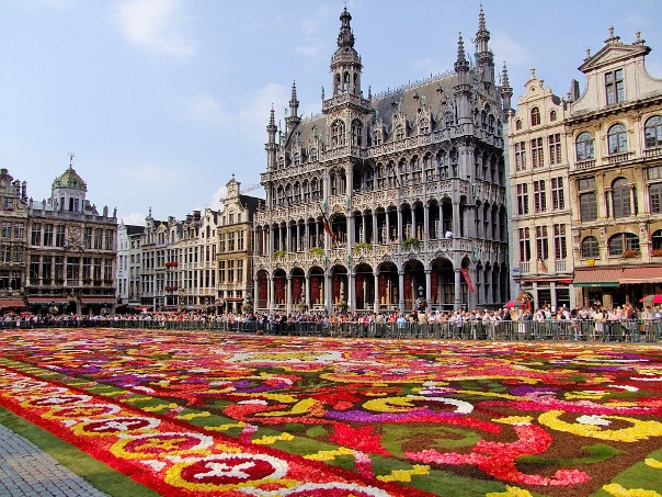 Цветочный ковёр на площади