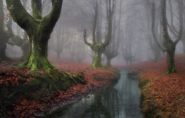 Тёмный лес Оццаретто, Испания