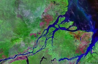 Устье Амазонки питает еще одна река