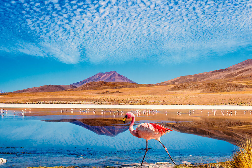 Знакомимся, Боливия: достопримечательности, которые стоит посмотреть каждому туристу!