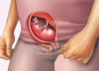 15 недель беременности: ощущения, что происходит, развитие плода
