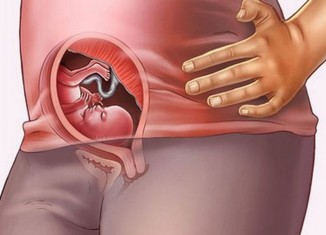 18 неделя беременности: развитие плода, ощущения, УЗИ