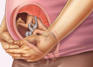 27 неделя беременности: положение и развитие плода, шевеления