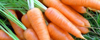 Рецепт морковной запеканки как в детском саду-2