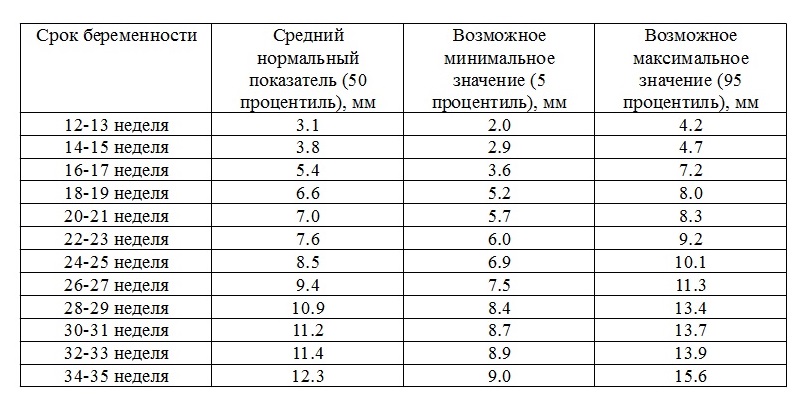 Носовая кость в 12 недель норма фото