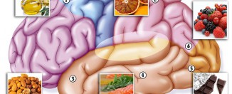 Нейро-питание: как «прокачать» свой мозг с помощью еды