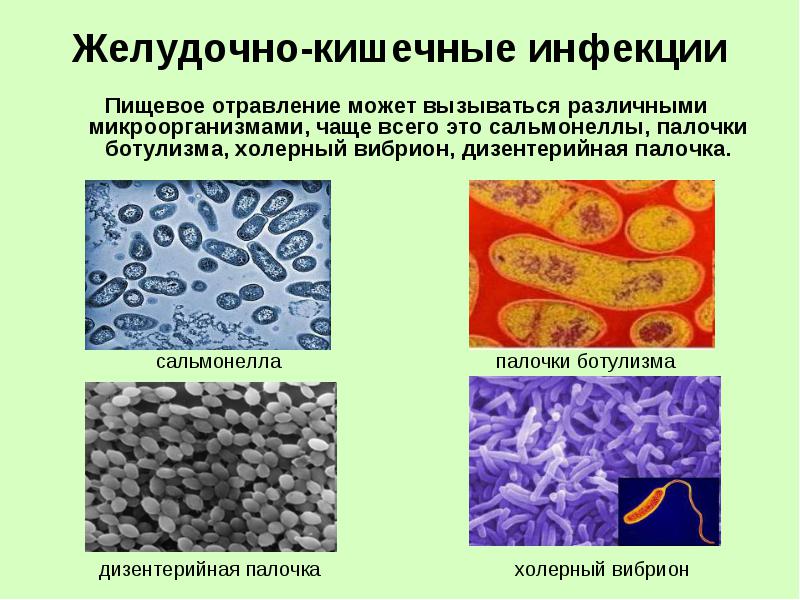 Какие микробы вызывают пищевые интоксикации