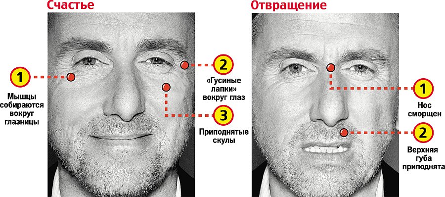 Невербальные признаки лжи презентация