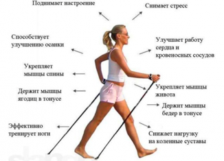 Техника скандинавской ходьбы