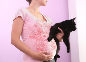 Токсоплазмоз во время беременности