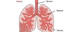 Воспаление лёгких, лечение в домашних условиях