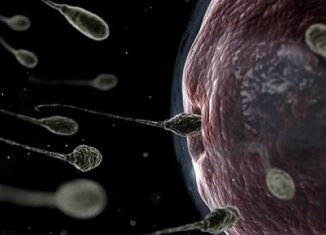 Как увеличить подвижность сперматозоидов с помощью йоги