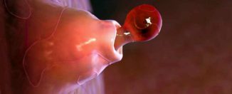 Беременность и роды: возможно ли зачатие при менструации?
