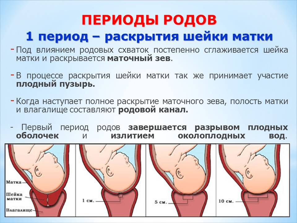 Периоды родов картинки