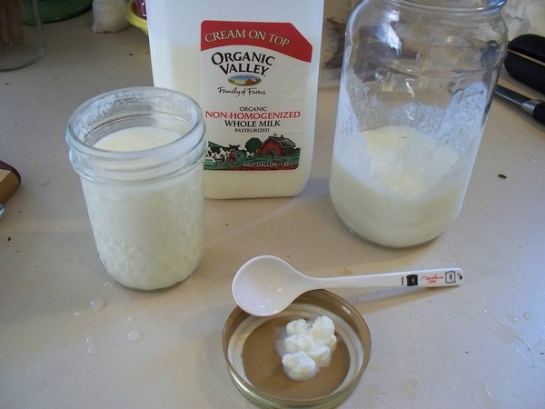 Кефир, молоко, творог, йогурт: где больше кальция, что полезнее, есть ли вред