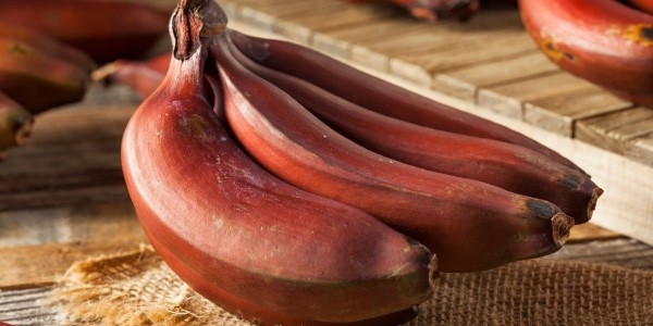 Банан внутри красный ‒ он отравленный или нет: что это, можно ли его есть