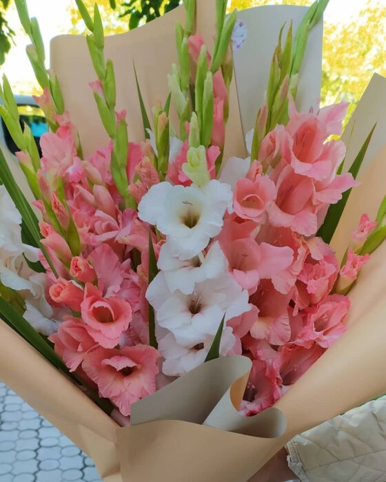 Букет гладиолусов: как красиво упаковать большие цветы, описание, фото
