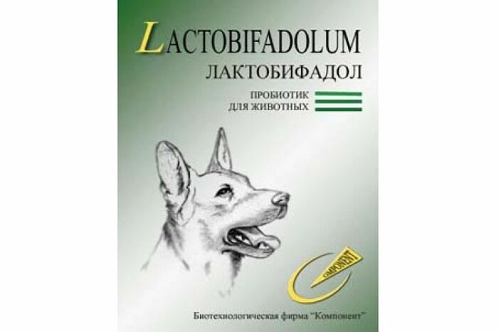Лактобифадол для собак: инструкция по применению, польза.