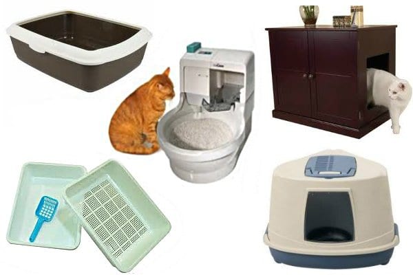 Какой туалет для кошки лучше? Как правильно называется кошачий туалет?