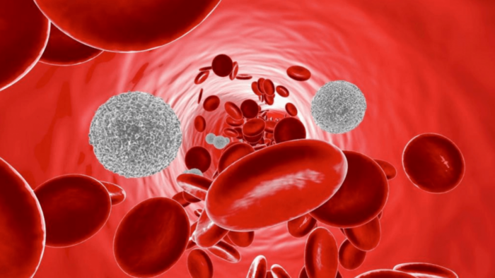 Лейкоциты в крови у женщин после 50: какая норма содержания